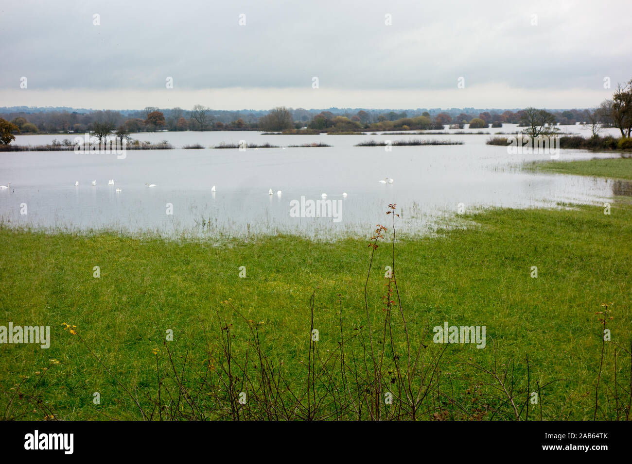 Inondati Cheshire terreni agricoli durante la tempesta e la pioggia di autunno 2019 presso le pianure alluvionali in inglese confine gallese a Farndon e Holt Foto Stock