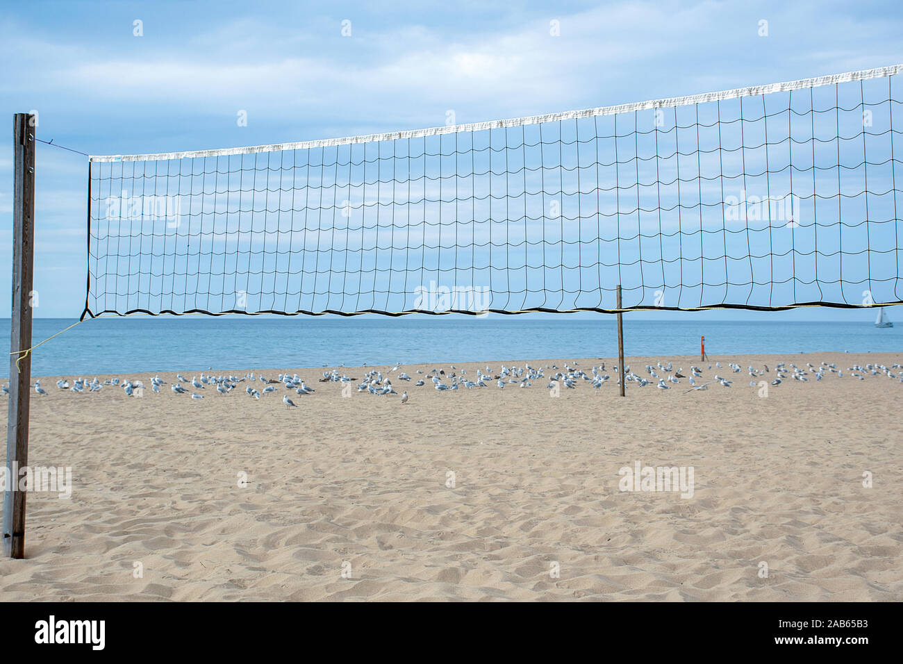 Rete da pallavolo e Flock of Seagulls sulla spiaggia vacante con il lago Michigan sfondo Foto Stock