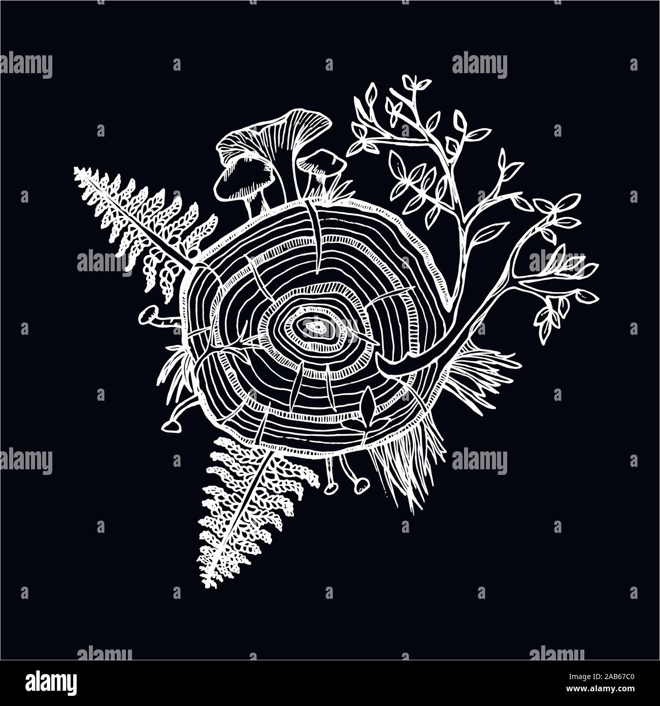 In bianco e nero il disegno della foresta set. La felce, albero, funghi, erba. Illustrazione Vettoriale