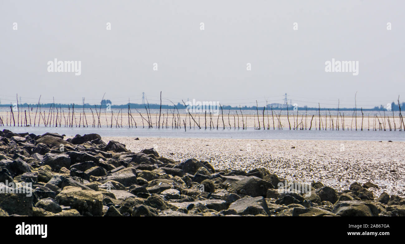 Spiaggia scenario di Tholen, il famoso e storico della pesca meteo in oosterschelde, Bergse diepsluis, Zeeland, Paesi Bassi Foto Stock