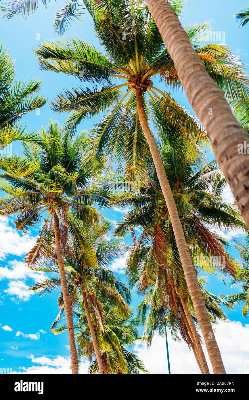 Empty Paradise beach, blu mare bellissima isola tropicale. Vacanza e concetto di vacanza, vacanze in Asia Foto Stock
