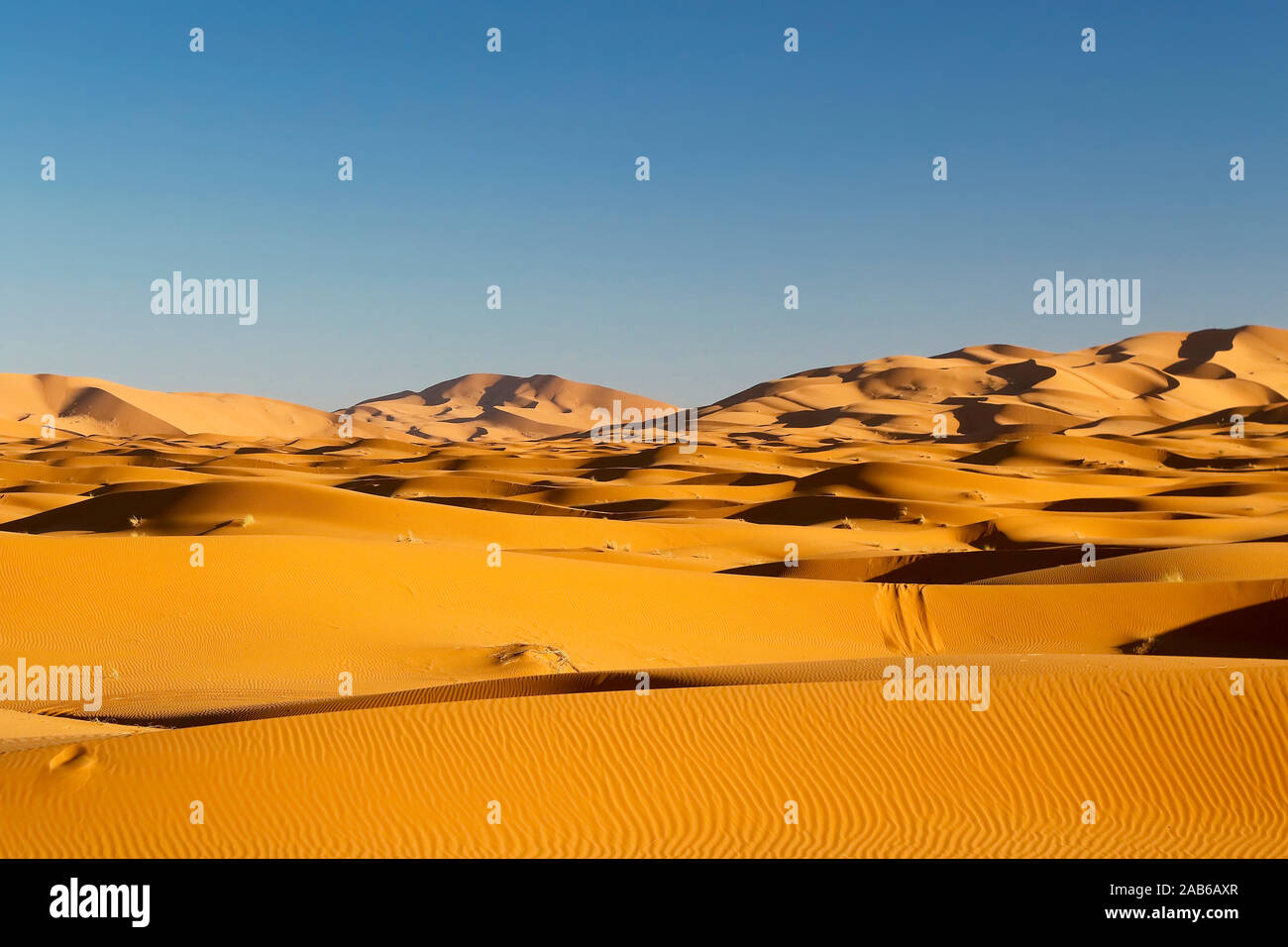 Erg Chebbi, Merzouga, Ziz Valley, il Deserto del Sahara, Marocco Foto Stock