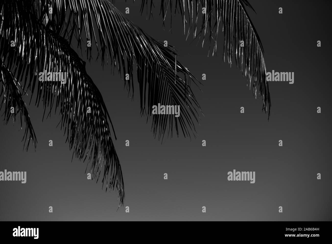 Sanibel Island Lighthouse Beach attrazioni Foto Stock