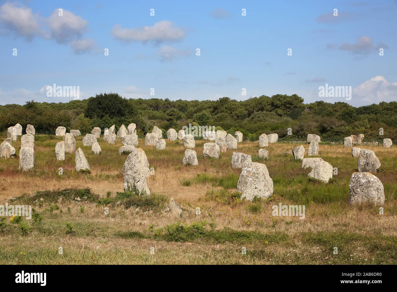 Migliaia di monoliti preistorici sparsi in tre allineamenti a Carnac, Bretagna, a nord-ovest della Francia. Foto Stock