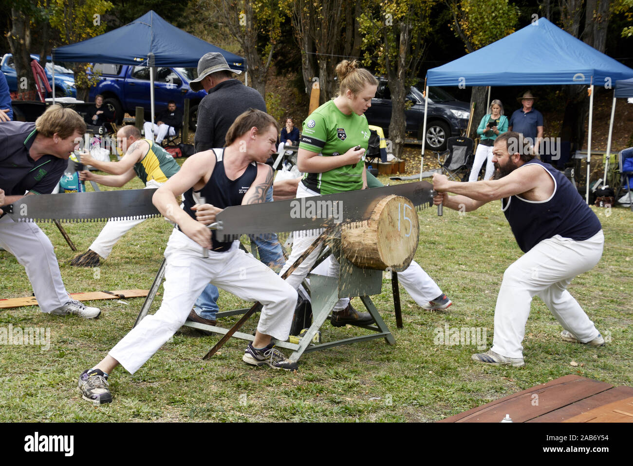 SEGATURA DEL LEGNO Foto Stock