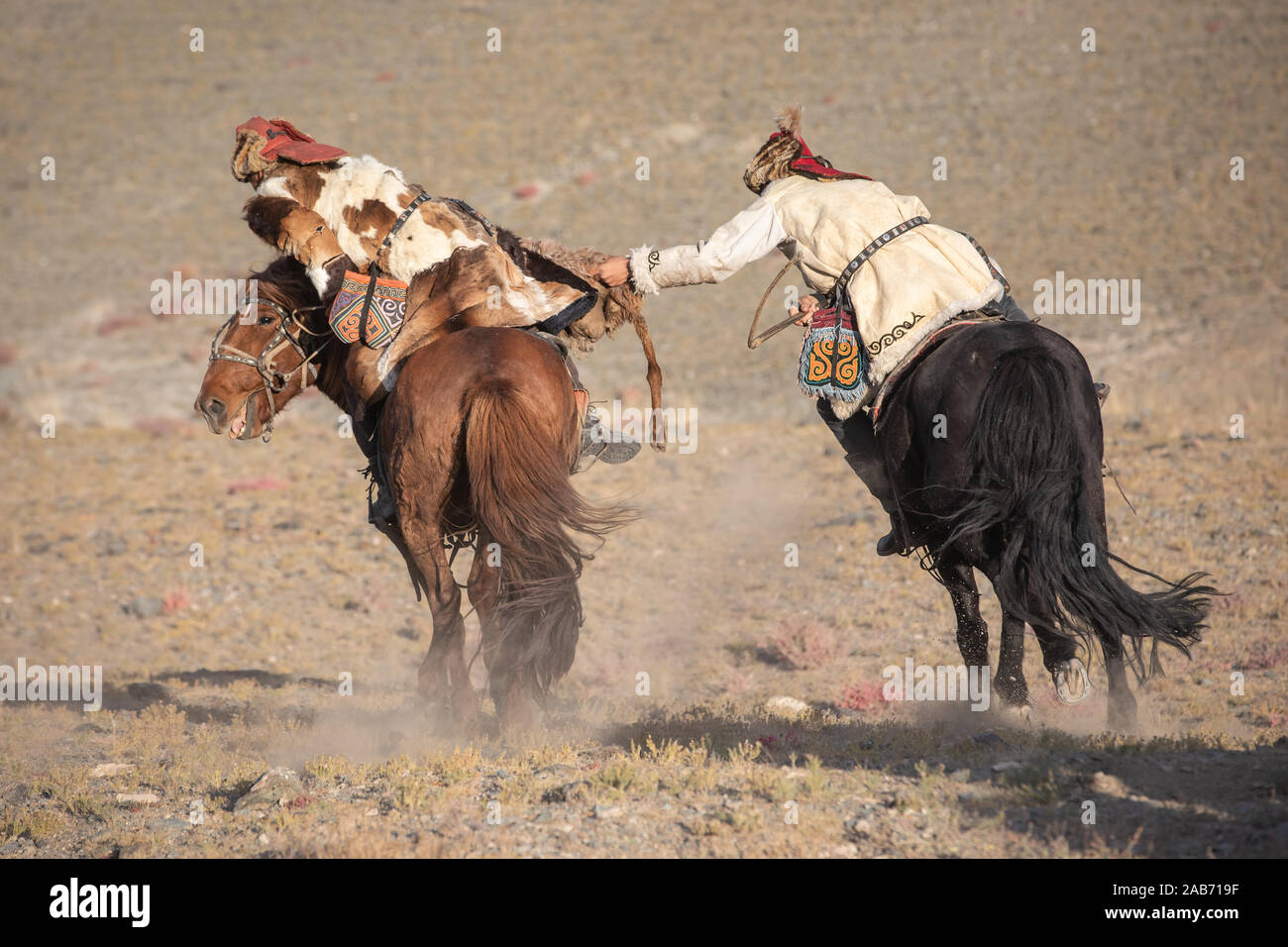 Il kazako eagle hunters partecipando in un tradizionale match wrestling. Due lottatori a cavallo iniziare tirando su una pelle di pecora, colui che lo recupera, ho Foto Stock