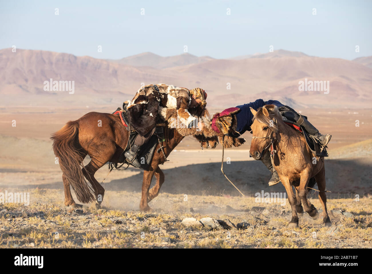 Il kazako eagle hunters partecipando in un tradizionale match wrestling. Due lottatori a cavallo iniziare tirando su una pelle di pecora, colui che lo recupera, ho Foto Stock