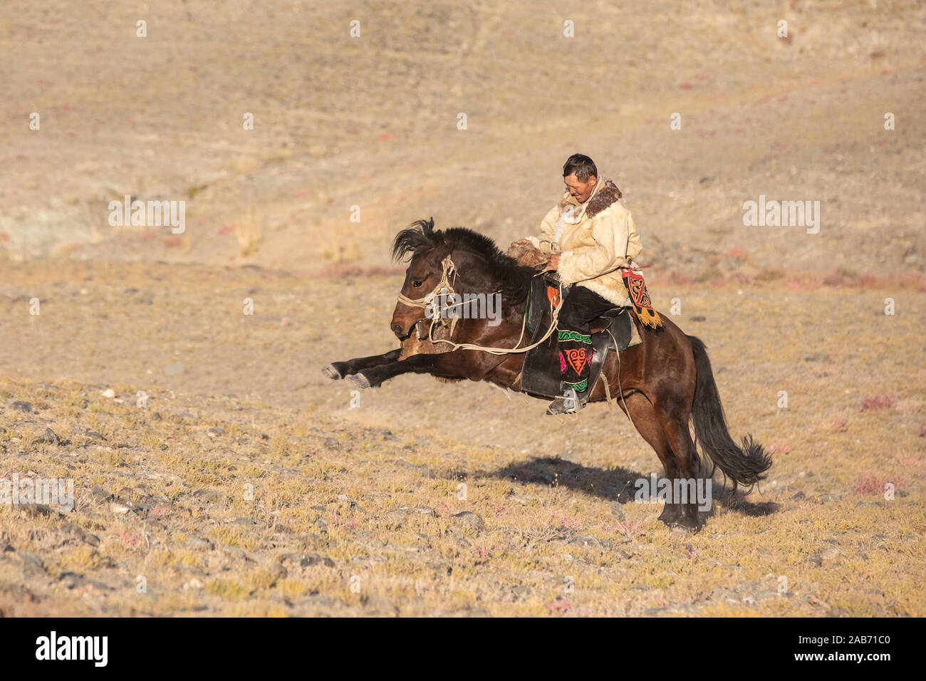 Il kazako eagle hunters partecipando in un tradizionale match wrestling. Due lottatori a cavallo iniziare tirando su una pelle di pecora, colui che lo recupera, ho Foto Stock