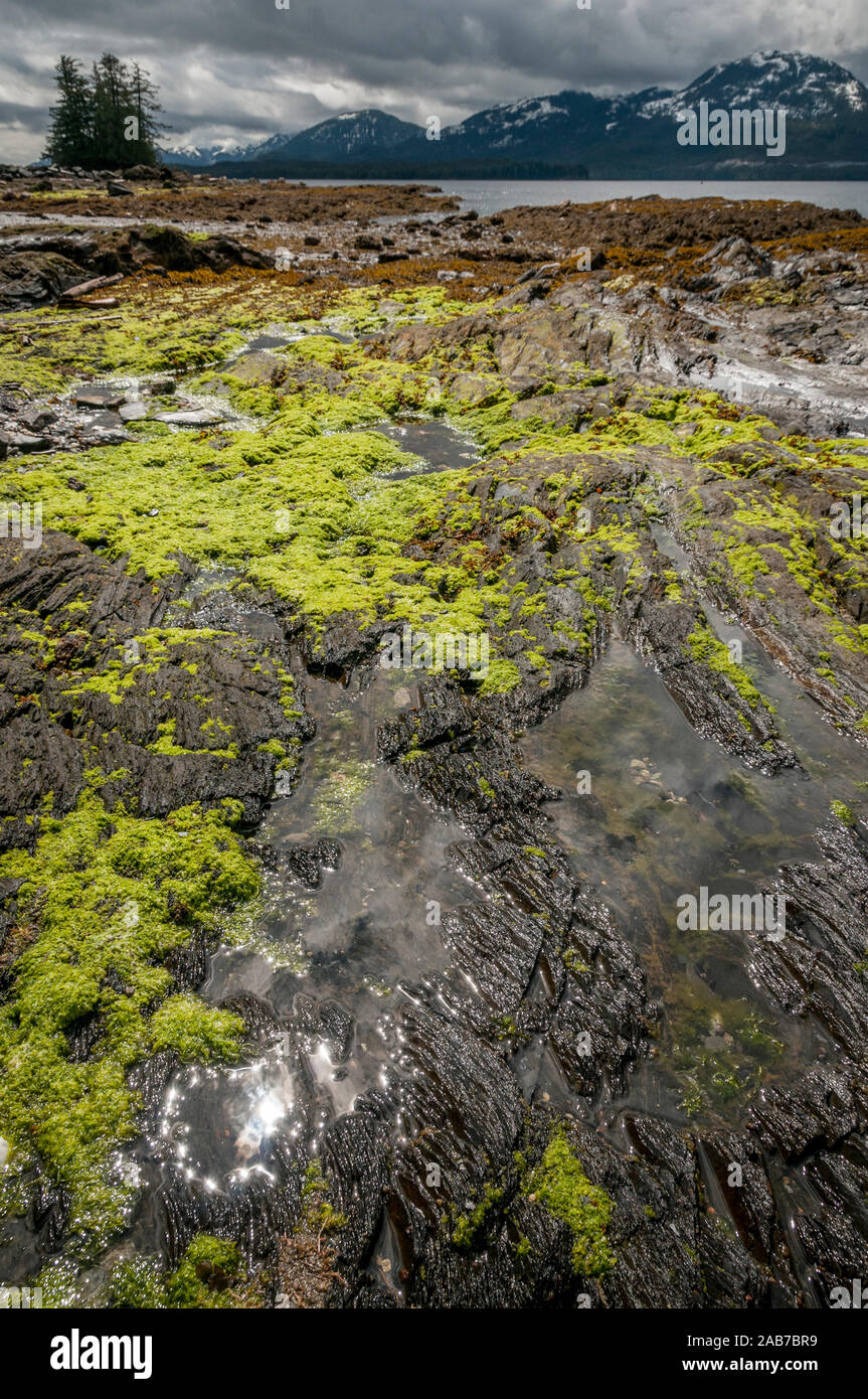 Il paesaggio che mostra la zona intercotidale del Rotary Beach, Canale Revillagigedo e Annette Island (sull orizzonte) Ketchikan, Alaska, Stati Uniti d'America. Foto Stock