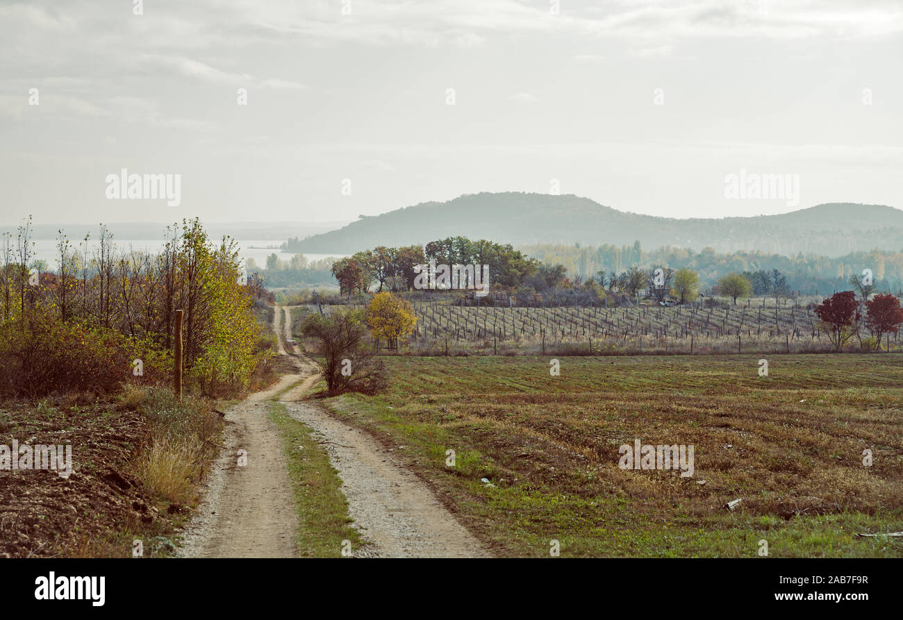 Strada sterrata che conduce giù per la collina. Campo di raccolto nella parte anteriore, nebbia sulle montagne e sul lago in background. Foto d'autunno. Foto Stock