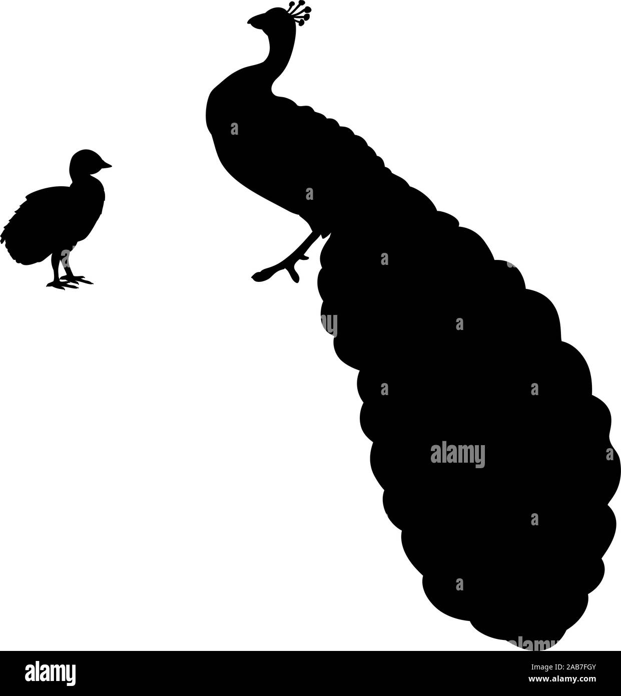 Silhouette di Pavone Pavone e pulcino. Vector illustrator Illustrazione Vettoriale
