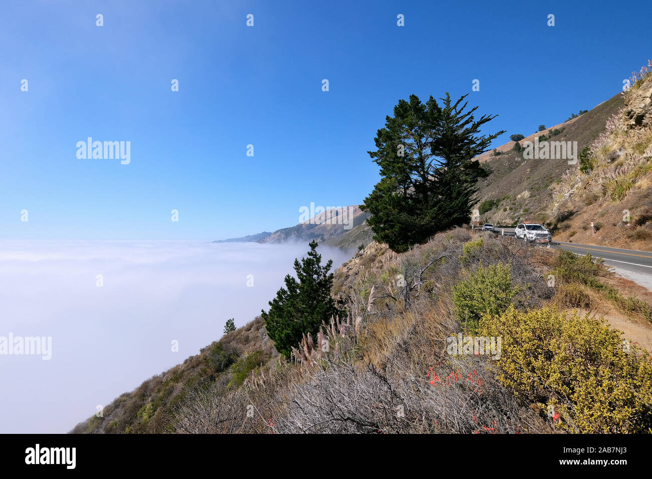 California state Route 1, autostrada 1, strada costiera lungo l'Oceano Pacifico, California, Stati Uniti Foto Stock