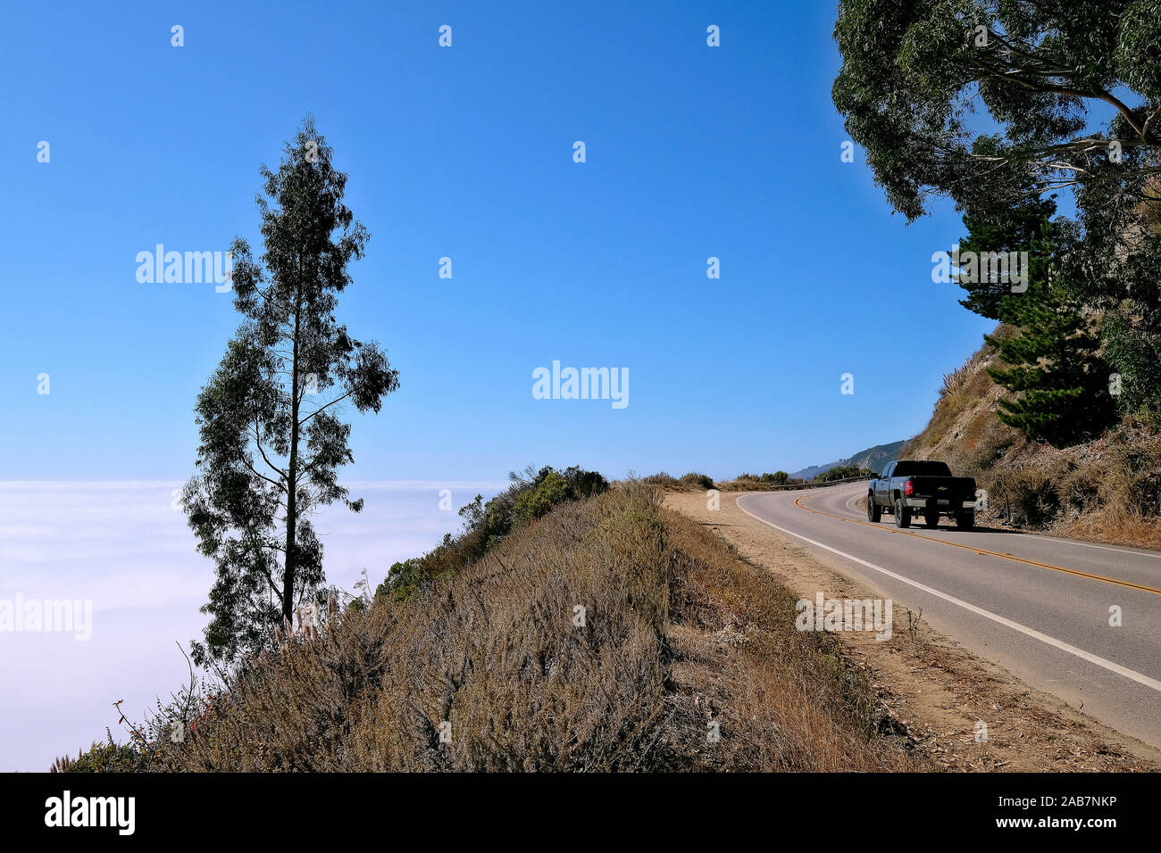 California state Route 1, autostrada 1, strada costiera lungo l'Oceano Pacifico, California, Stati Uniti Foto Stock