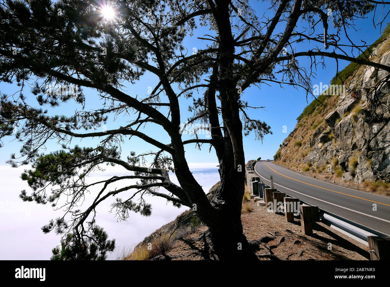 California state Route 1, autostrada 1, strada costiera lungo l'Oceano Pacifico, California, Stati Uniti Foto Stock