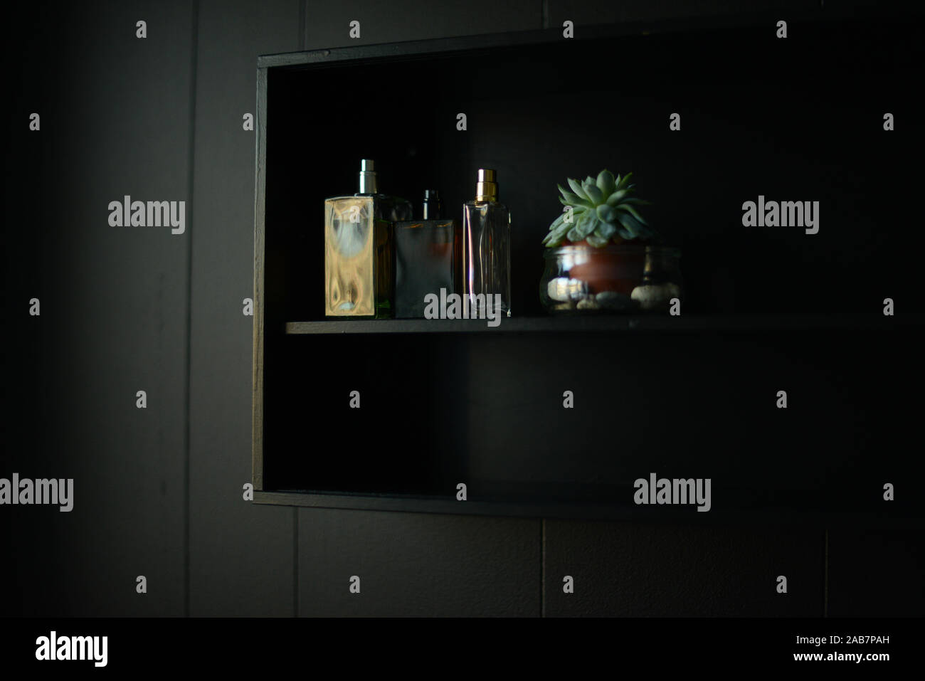 Tre bottiglie di profumo e vasi di piante succulente in un ripiano nero appeso a una parete nera Foto Stock