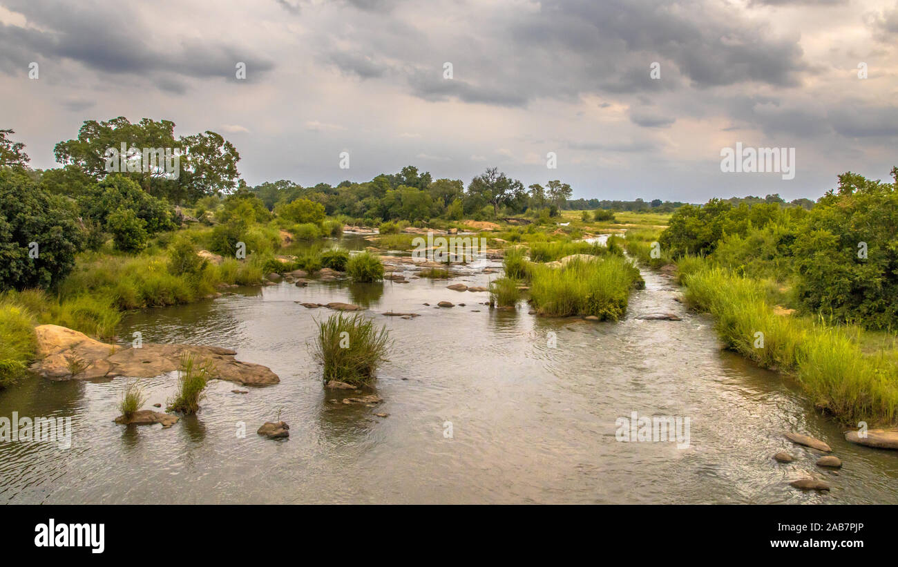 Panorama del Fiume Sabie incrocio vicino Skukuza camp nel parco nazionale Kruger Sud Africa Foto Stock