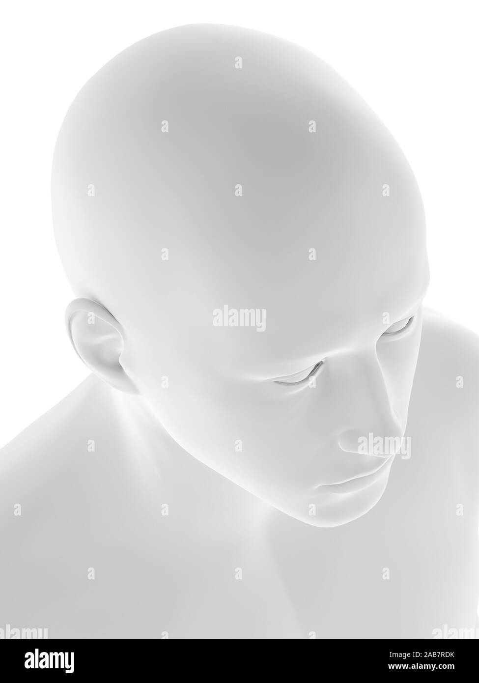 3D Rendering accurato dal punto di vista medico illustrazione della testa umana Foto Stock
