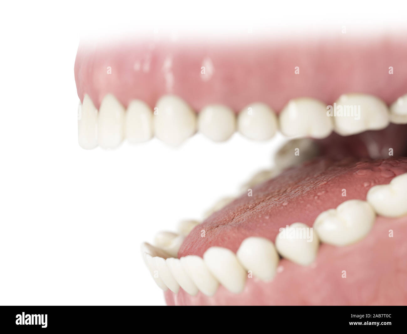 3d reso illustrazione dei denti umani Foto Stock