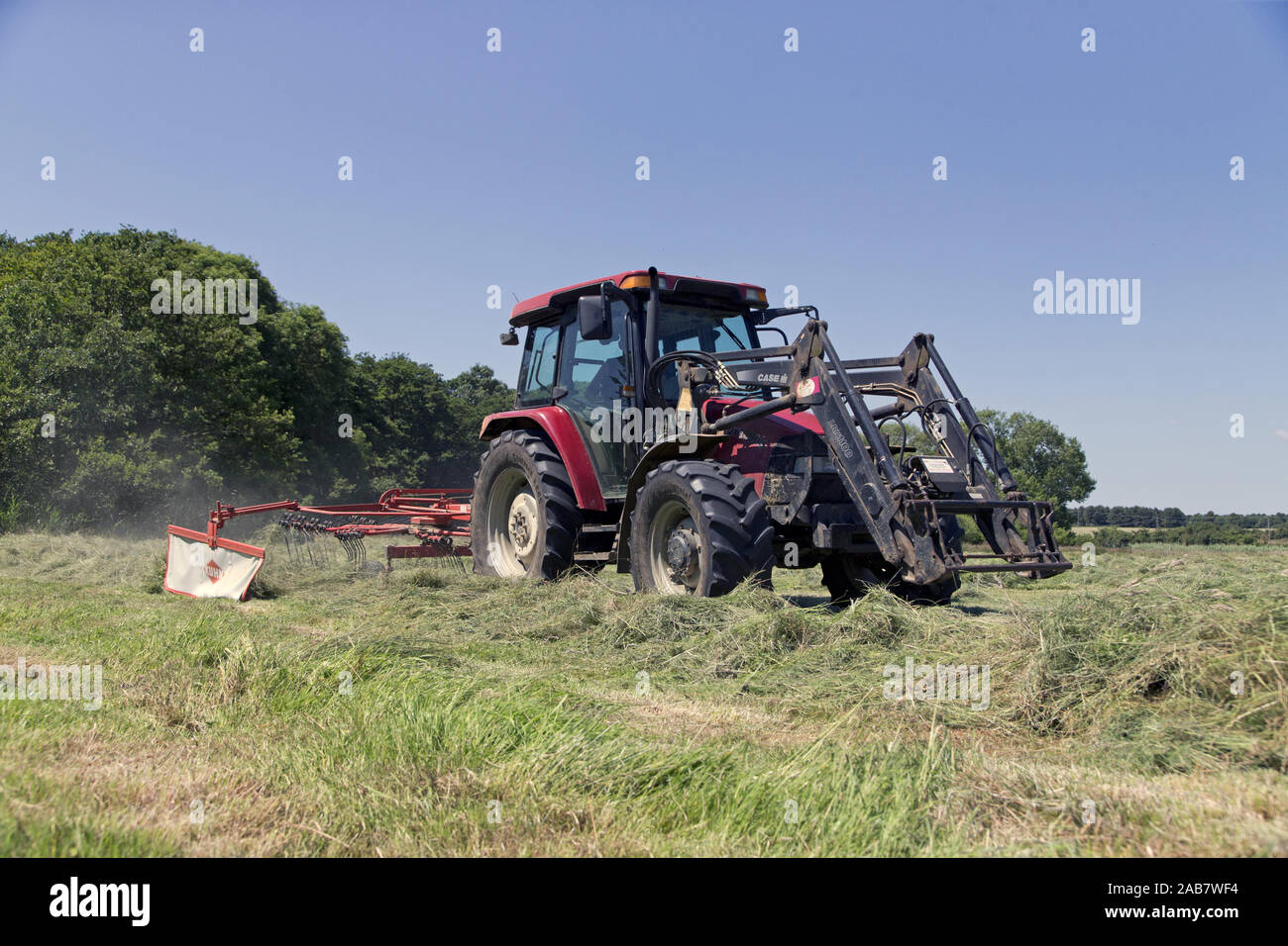 Agricoltore la raccolta di erba tagliata in righe per una macchina compattatrice per raccogliere, Sudbourne, Suffolk, Inghilterra, Giugno Foto Stock