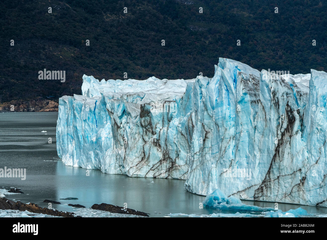 Perito Moreno e il Lago Argentino, parco nazionale Los Glaciares, Sito Patrimonio Mondiale dell'UNESCO, Santa Cruz, Argentina, Sud America Foto Stock Perito Moreno e il Lago Argentino, parco nazionale Los Glaciares, Sito Patrimonio Mondiale dell'UNESCO, Santa Cruz, Argentina, Sud America Foto Stock