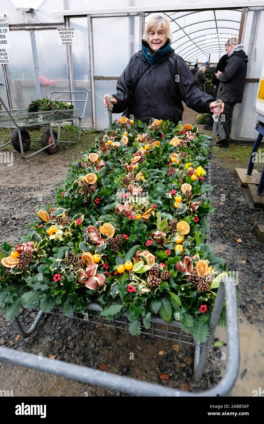 Burford House, Tenbury Wells, Worcestershire - Martedì 26 Novembre 2019 - Il primo Natale agrifoglio e vischio asta della stagione - Aste di vischio si sono svolti a Tenbury Wells per oltre 160 anni. Un acquirente da Shrewsbury carichi fino il suo acquisto di xmas ghirlande. Una ulteriore asta avrà luogo la prossima settimana - Credit: Steven Maggio/Alamy Live News Foto Stock