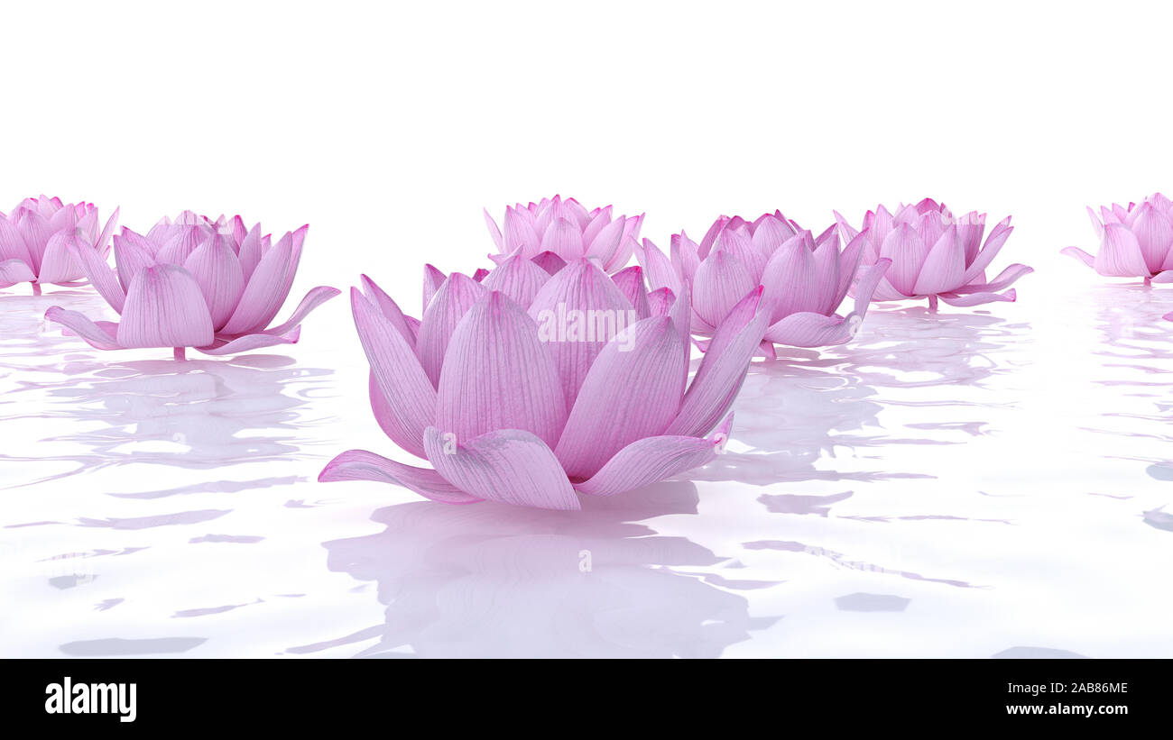 Rendering 3D illustrazione spa - fiori di loto Foto Stock