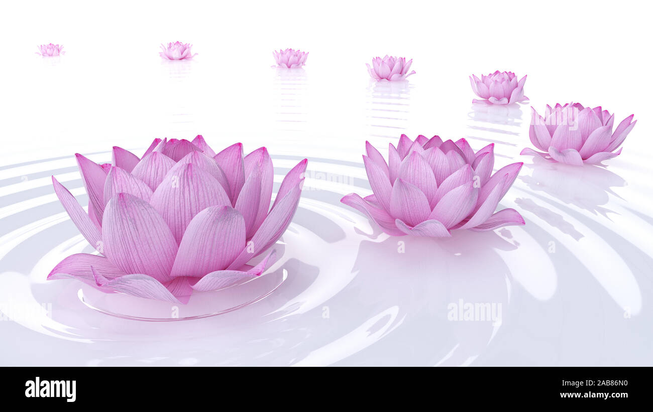 Rendering 3D illustrazione spa - fiori di loto Foto Stock