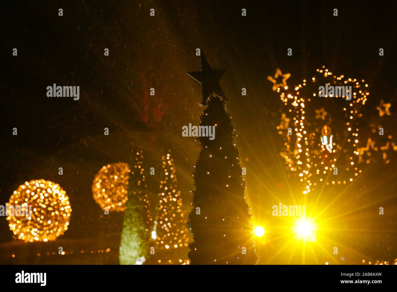 Berlino, Germania. 22 Novembre, 2019. 22.11.2019, Berlin: una stella su un albero di Natale in Tierpark Berlin Credito: Georg Wenzel/dpa-Zentralbild/ZB/dpa/Alamy Live News Foto Stock