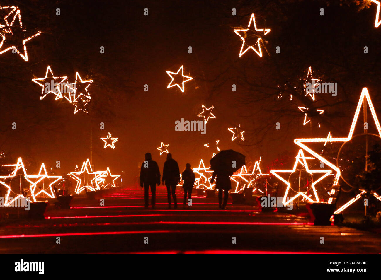 Berlino, Germania. 22 Novembre, 2019. 22.11.2019, Berlin: visitatori presso il Tierpark Berlin in stato d'animo di Natale Credit: Georg Wenzel/dpa-Zentralbild/ZB/dpa/Alamy Live News Foto Stock