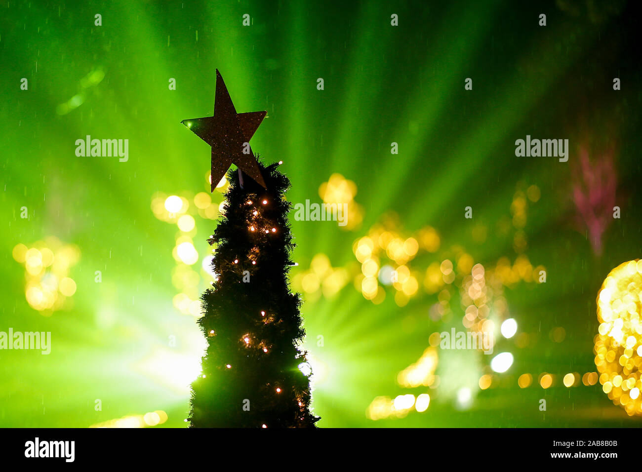 Berlino, Germania. 22 Novembre, 2019. 22.11.2019, Berlin: una stella su un albero di Natale in Tierpark Berlin Credito: Georg Wenzel/dpa-Zentralbild/ZB/dpa/Alamy Live News Foto Stock