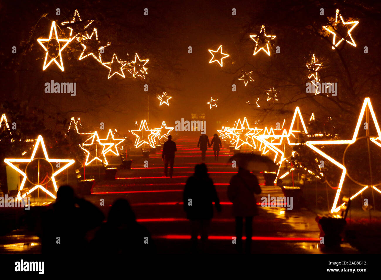 Berlino, Germania. 22 Novembre, 2019. 22.11.2019, Berlin: visitatori presso il Tierpark Berlin in stato d'animo di Natale Credit: Georg Wenzel/dpa-Zentralbild/ZB/dpa/Alamy Live News Foto Stock