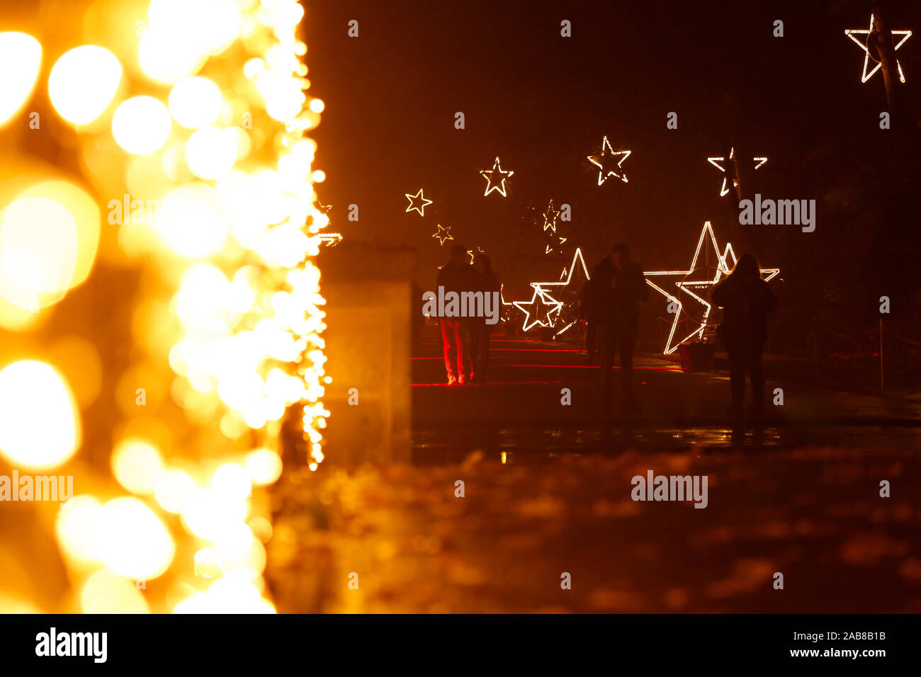 Berlino, Germania. 22 Novembre, 2019. 22.11.2019, Berlin: visitatori presso il Tierpark Berlin in stato d'animo di Natale Credit: Georg Wenzel/dpa-Zentralbild/ZB/dpa/Alamy Live News Foto Stock