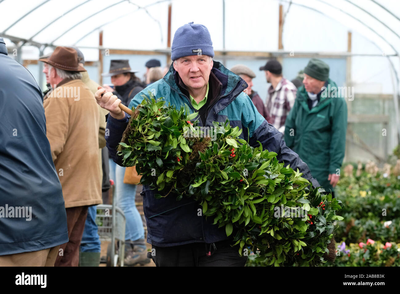 Burford House, Tenbury Wells, Worcestershire - Martedì 26 Novembre 2019 - Il primo Natale agrifoglio e vischio asta della stagione - Aste di vischio si sono svolti a Tenbury Wells per oltre 160 anni. Un acquirente trasporta un palo pieno di xmas holly ghirlande. Una ulteriore asta avrà luogo la prossima settimana - Credit: Steven Maggio/Alamy Live News Foto Stock