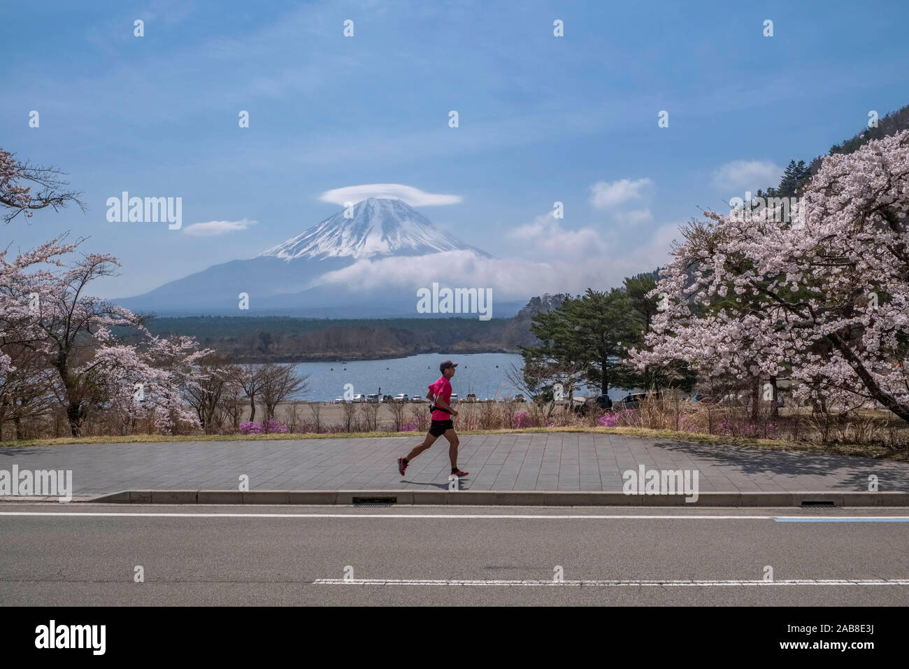 Giappone, Fujinomiya, Prefettura di Shizuoka: il Monte Fuji con la sua coperta di neve vertice e il Lago Shoji. Uomo che corre la sfida Fuji 5 Laghi ULTRA MARATONA Foto Stock