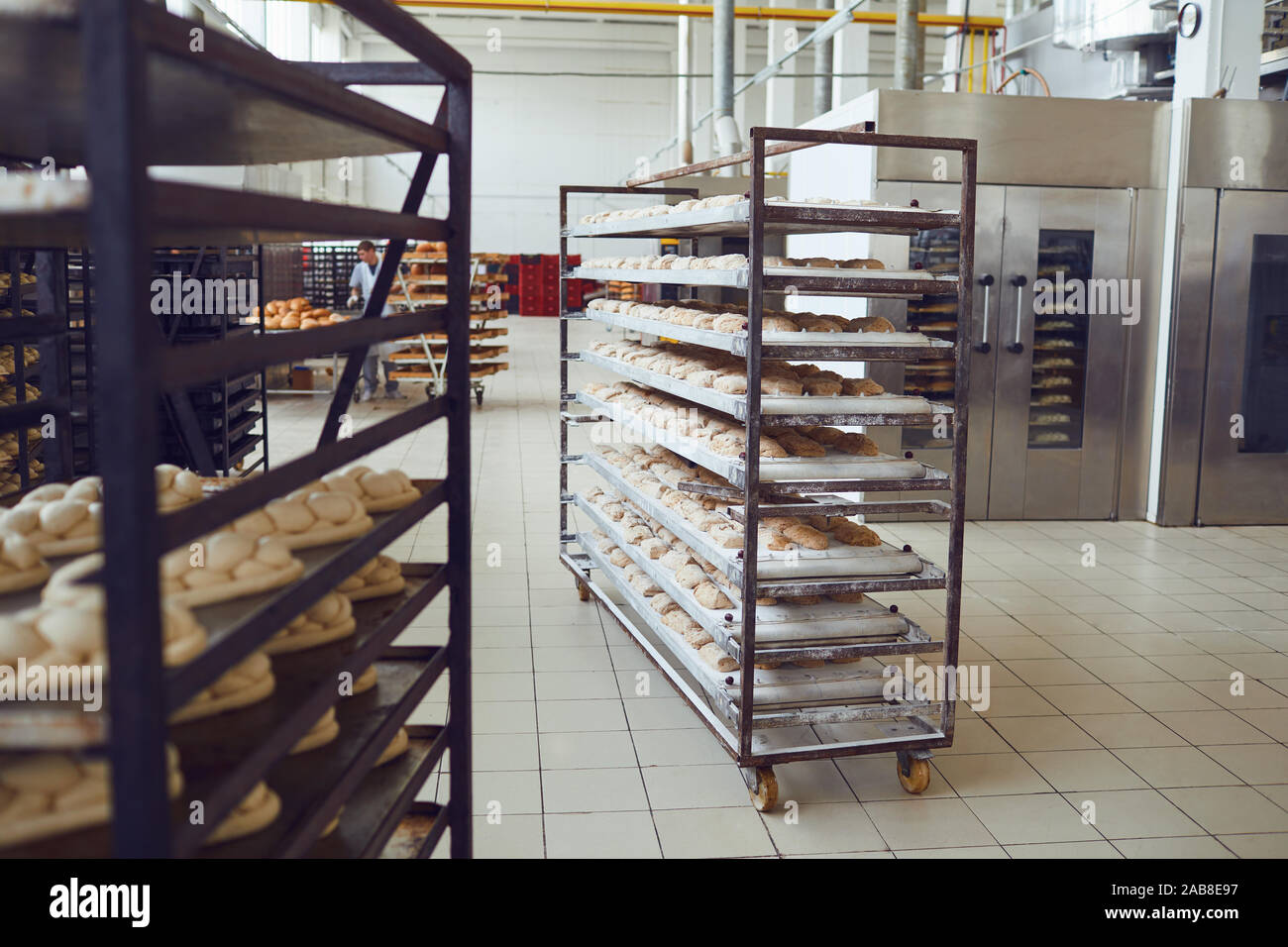 Pane crudo su vassoi prima della cottura in forno alla fabbrica di panetteria Foto Stock