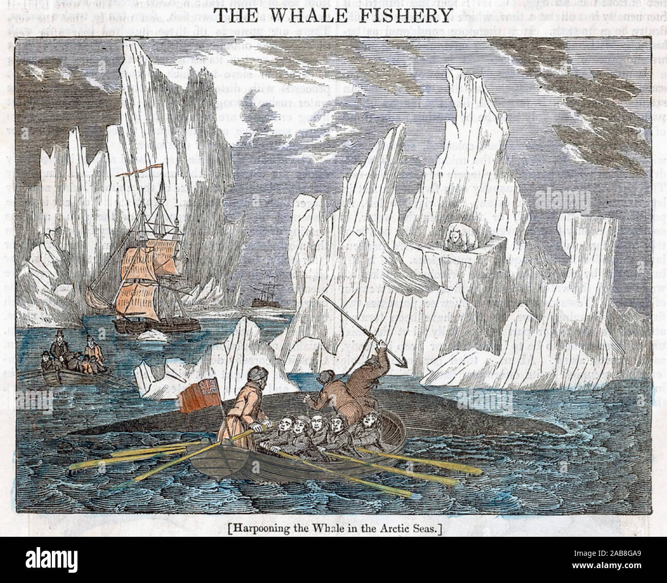 Caccia alle balene in un tardo XVIII secolo printy Foto Stock