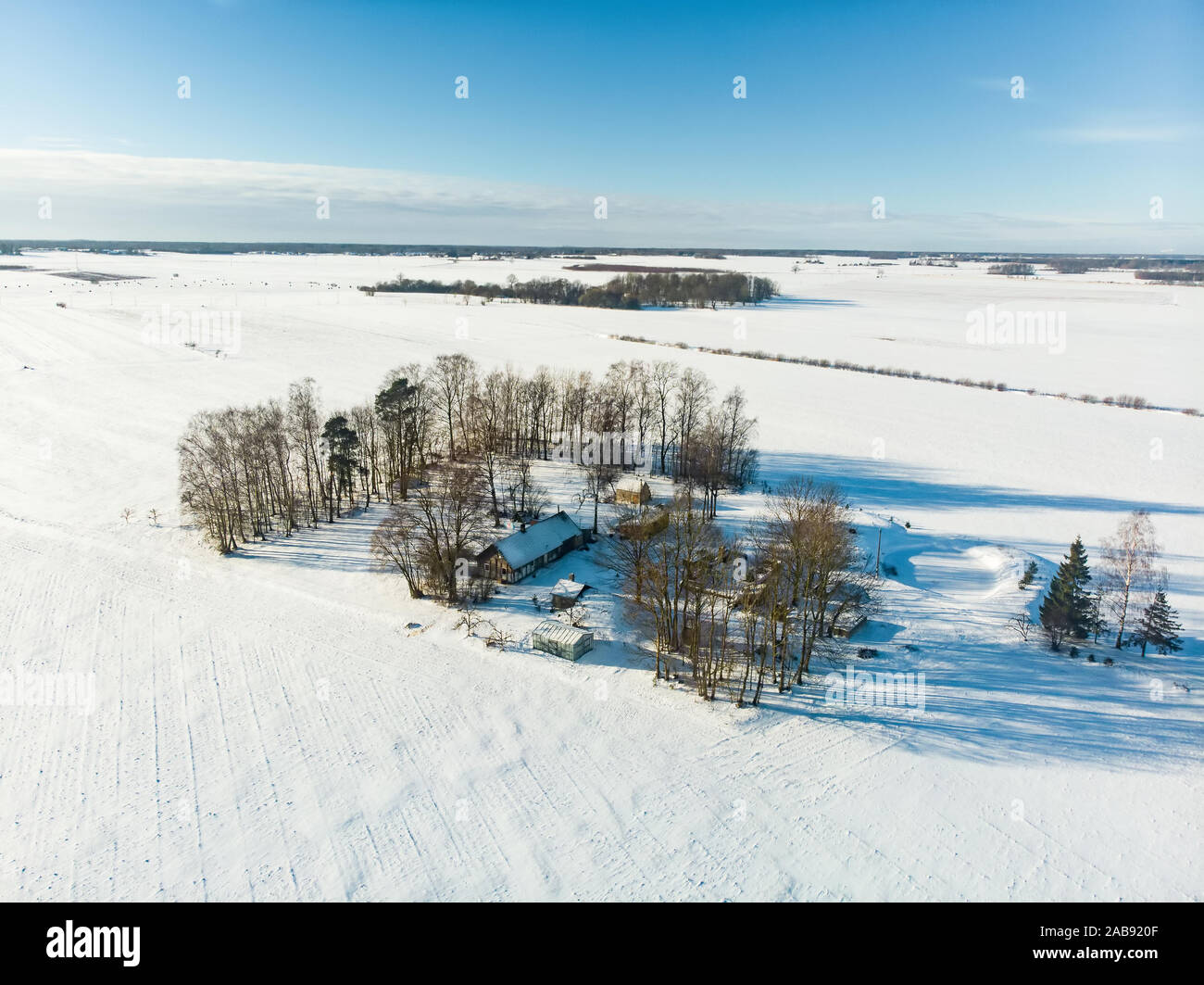 Bella vista aerea della coperta di neve i campi. Rime ghiaccio e gelo trasformata per forte gradiente di alberi di copertura. Scenic paesaggio invernale vicino a Vilnius, Lituania. Foto Stock