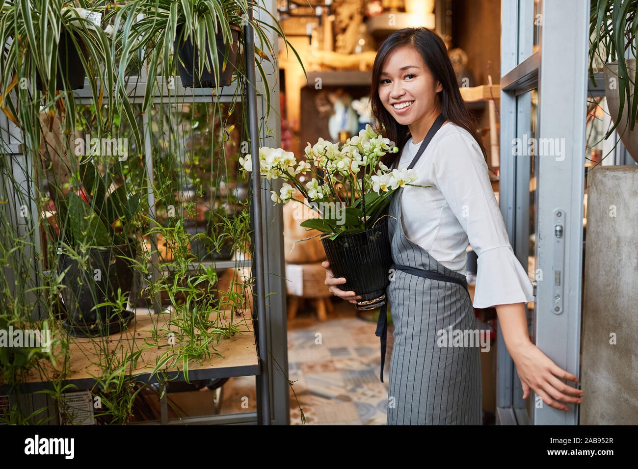 Giovani fioraio porta houseplant per consegna nel negozio di fiori Foto Stock