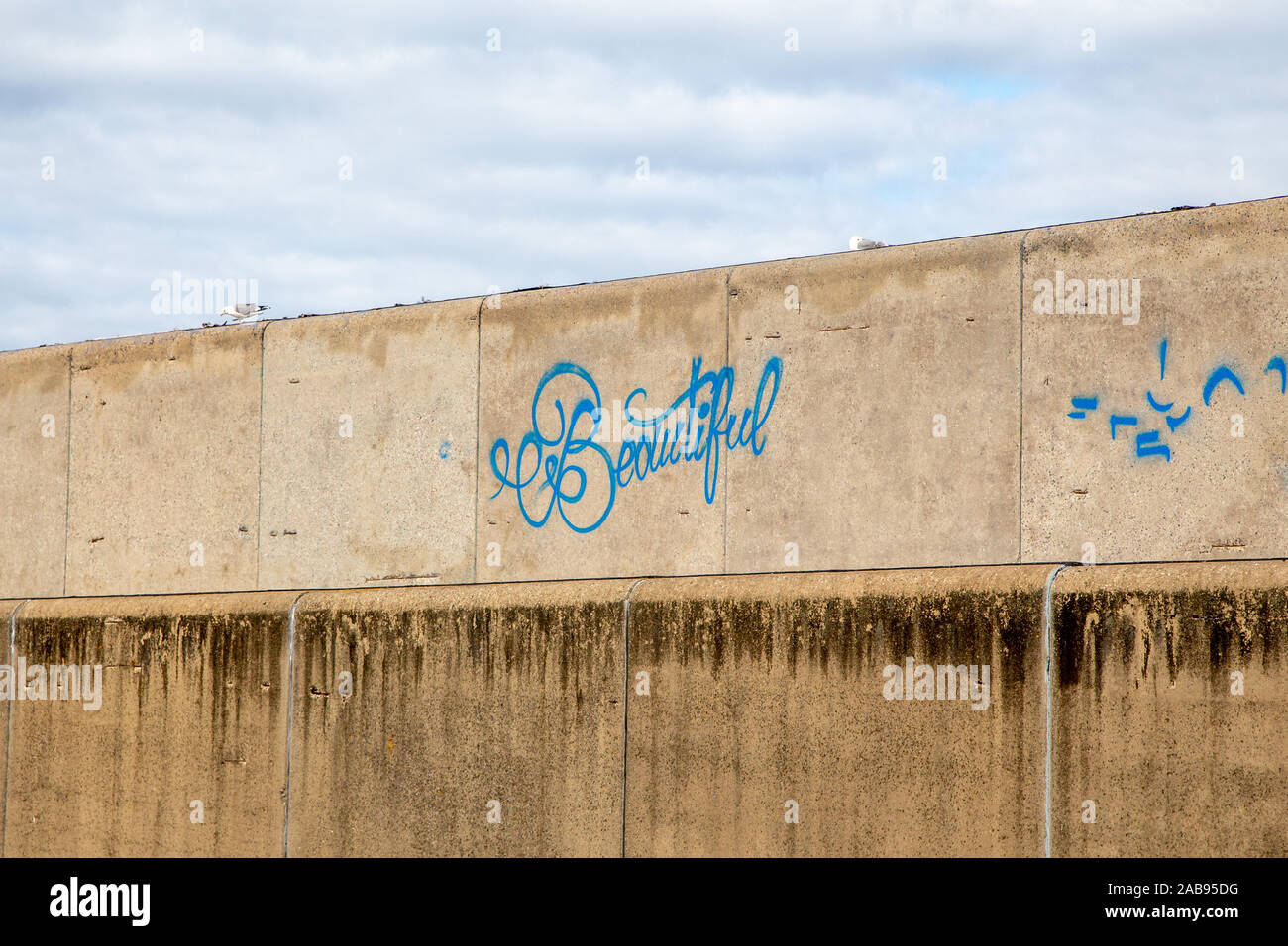 Un apprezzamento della bellezza nel decadimento di calcestruzzo Foto Stock