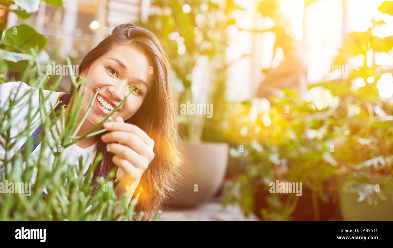 Donna asiatica funziona come un fiorista in negozio di fiori tra molte piante verdi Foto Stock