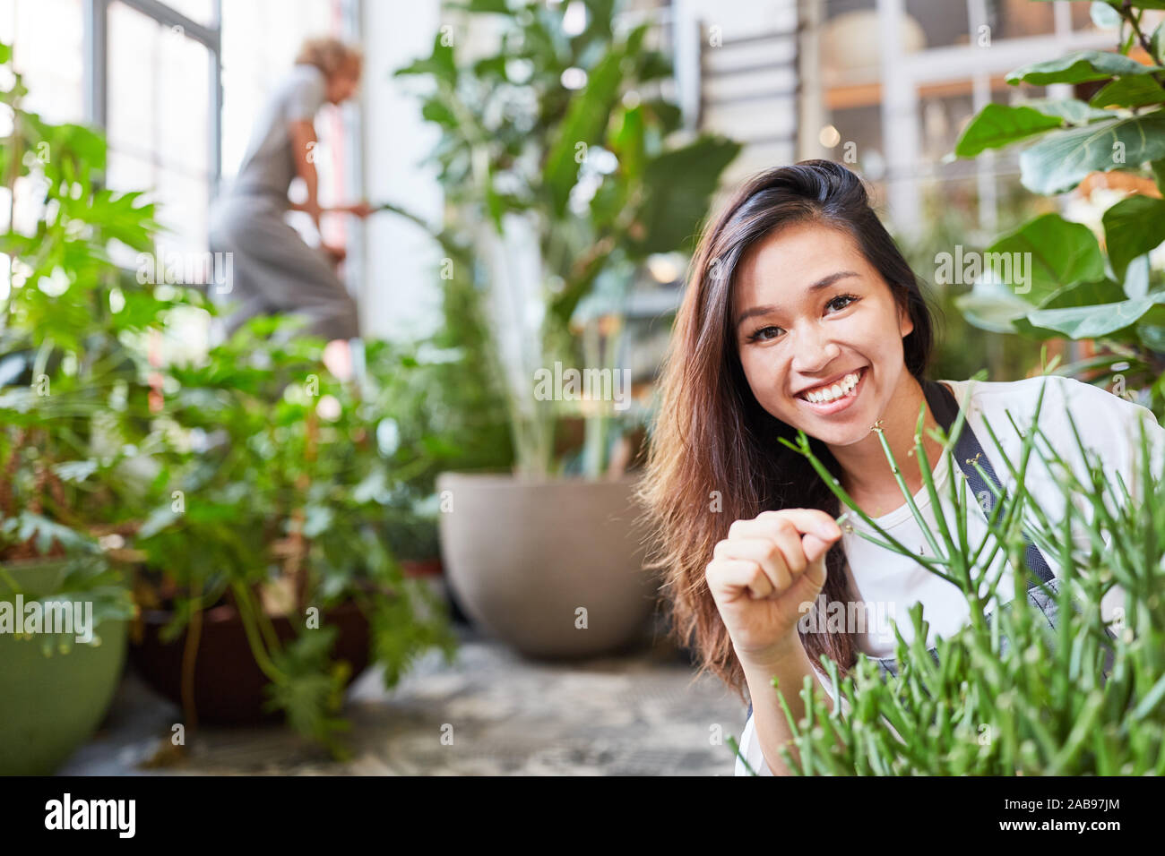 Donna asiatica come un fiorista nella formazione a cura delle piante Foto Stock