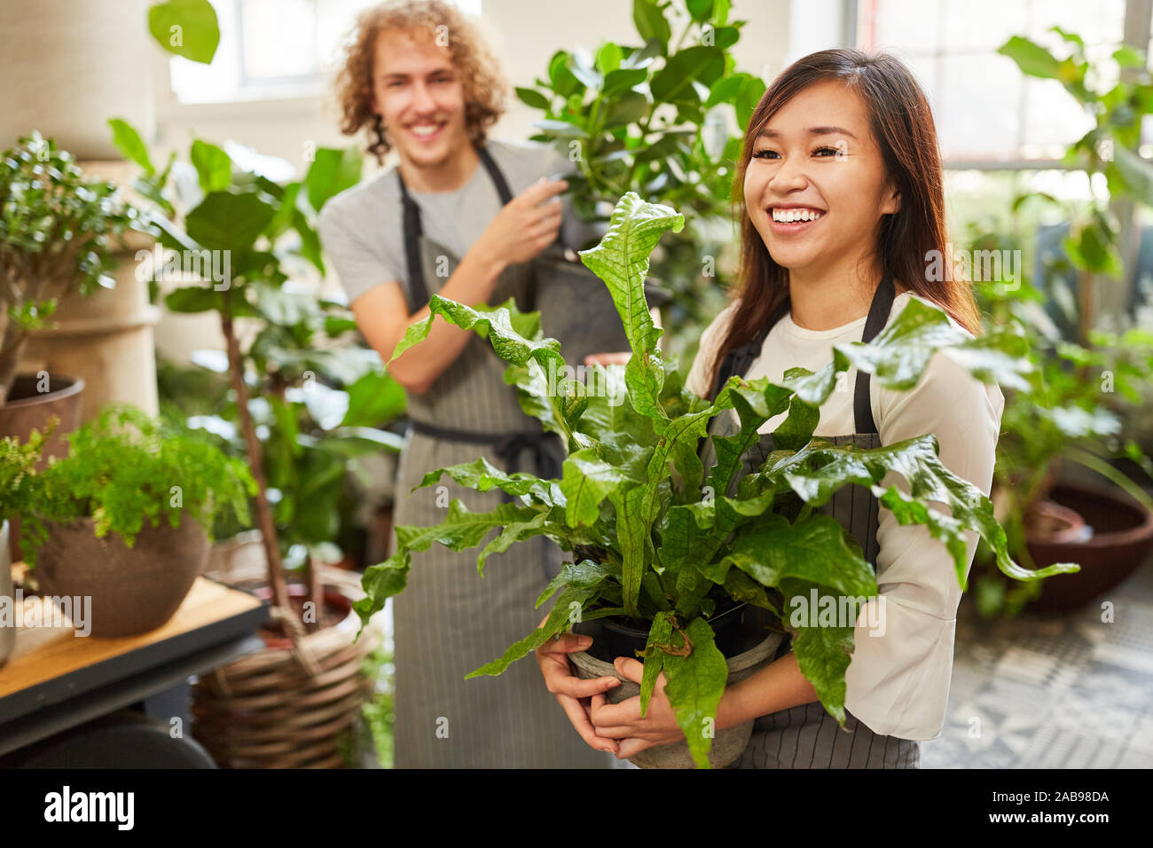 Giovane team di fiorista erogazione di piante come il servizio clienti Foto Stock