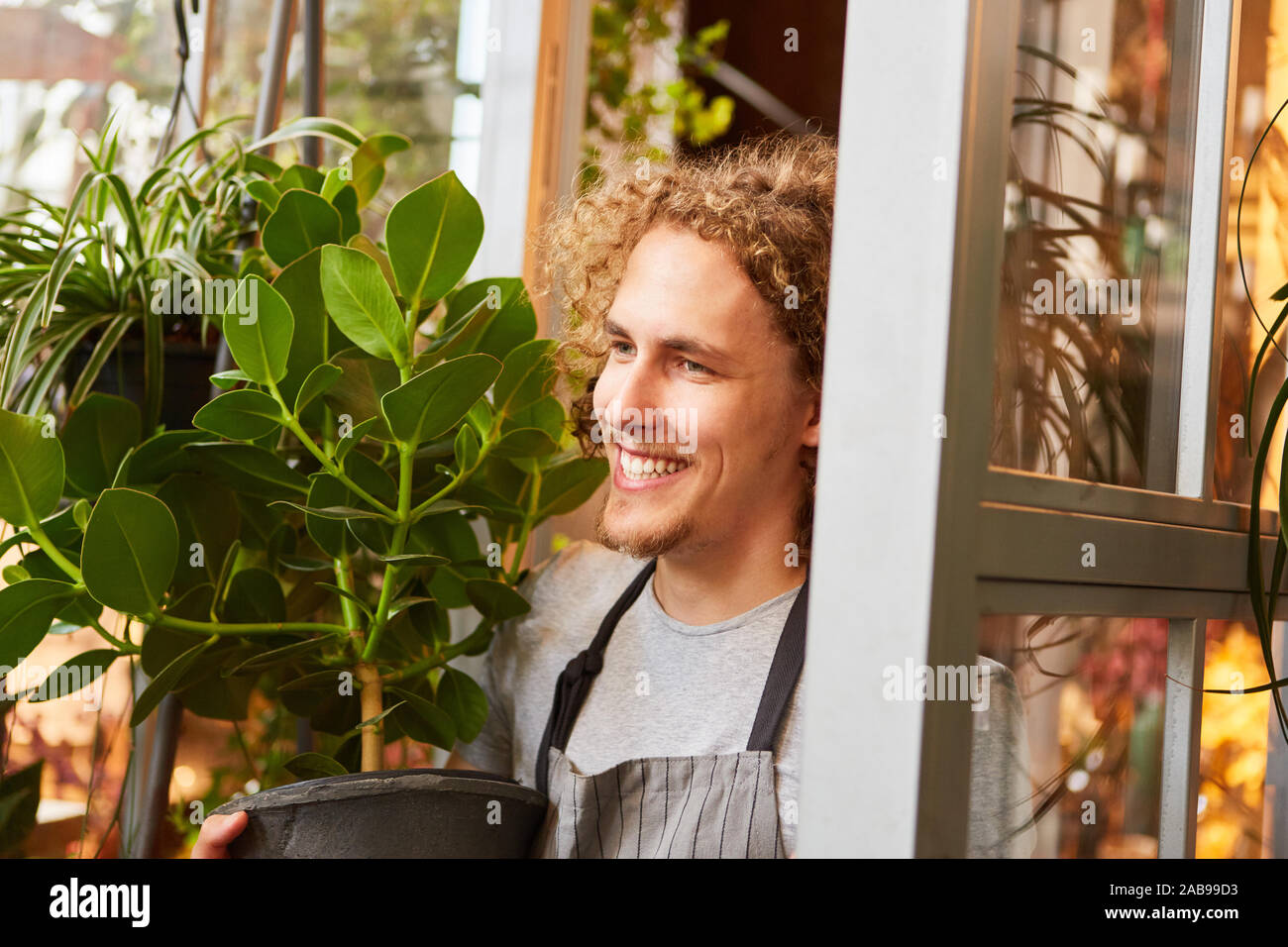Giovani fioraio offre una pianta verde per l'ordine per il cliente Foto Stock