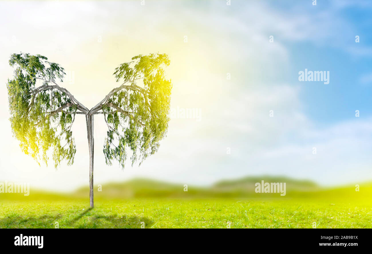 Polmone verde a forma di albero di immagini, concetti medici, autopsia, visualizzazione 3D e animali come un elemento Foto Stock