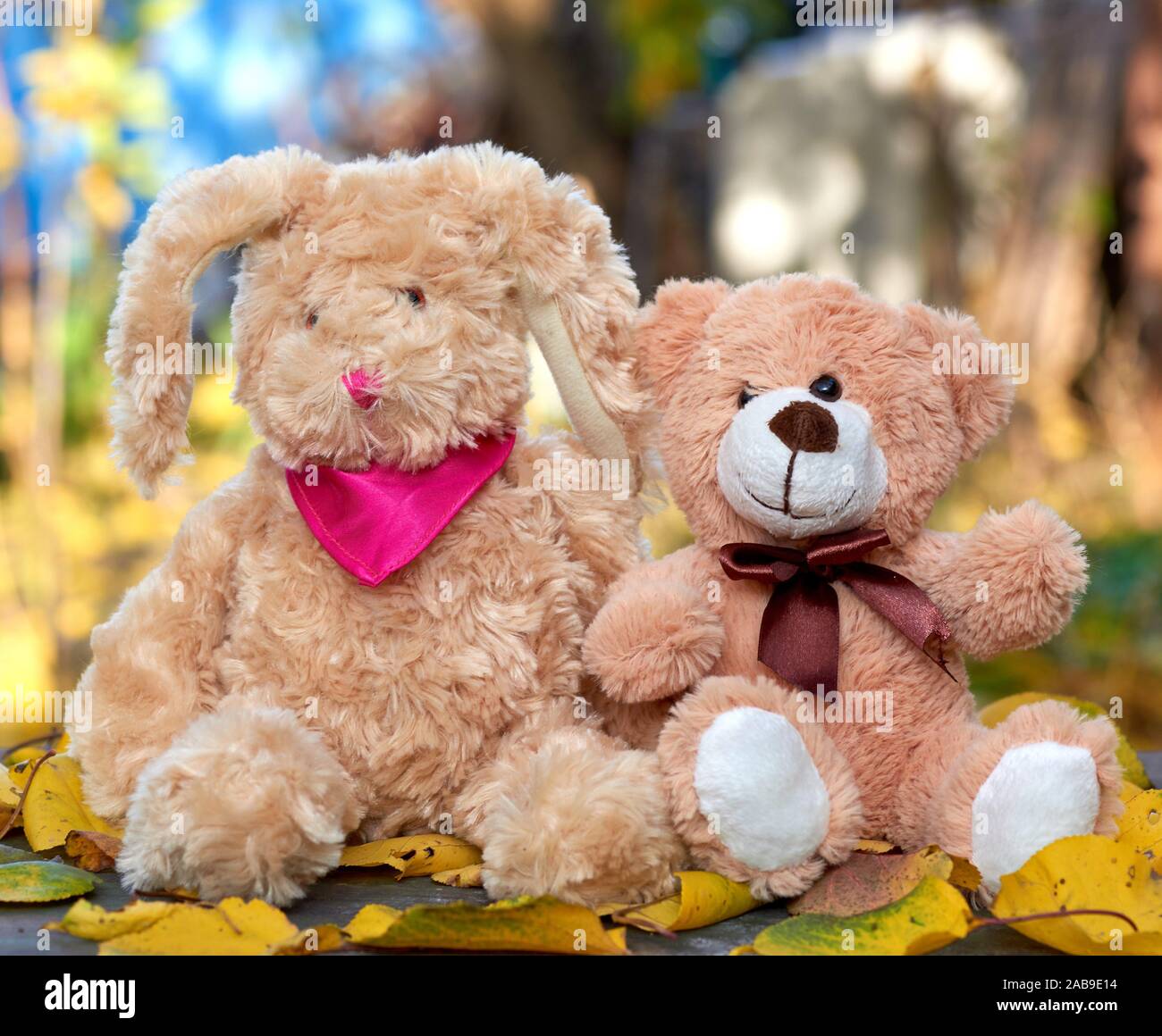 Orsacchiotto bunny con lunghe orecchie e un orso di peluche sono seduti nel  mezzo di estratto secco di foglie di giallo in una giornata autunnale,  sfocare lo sfondo dietro Foto stock -