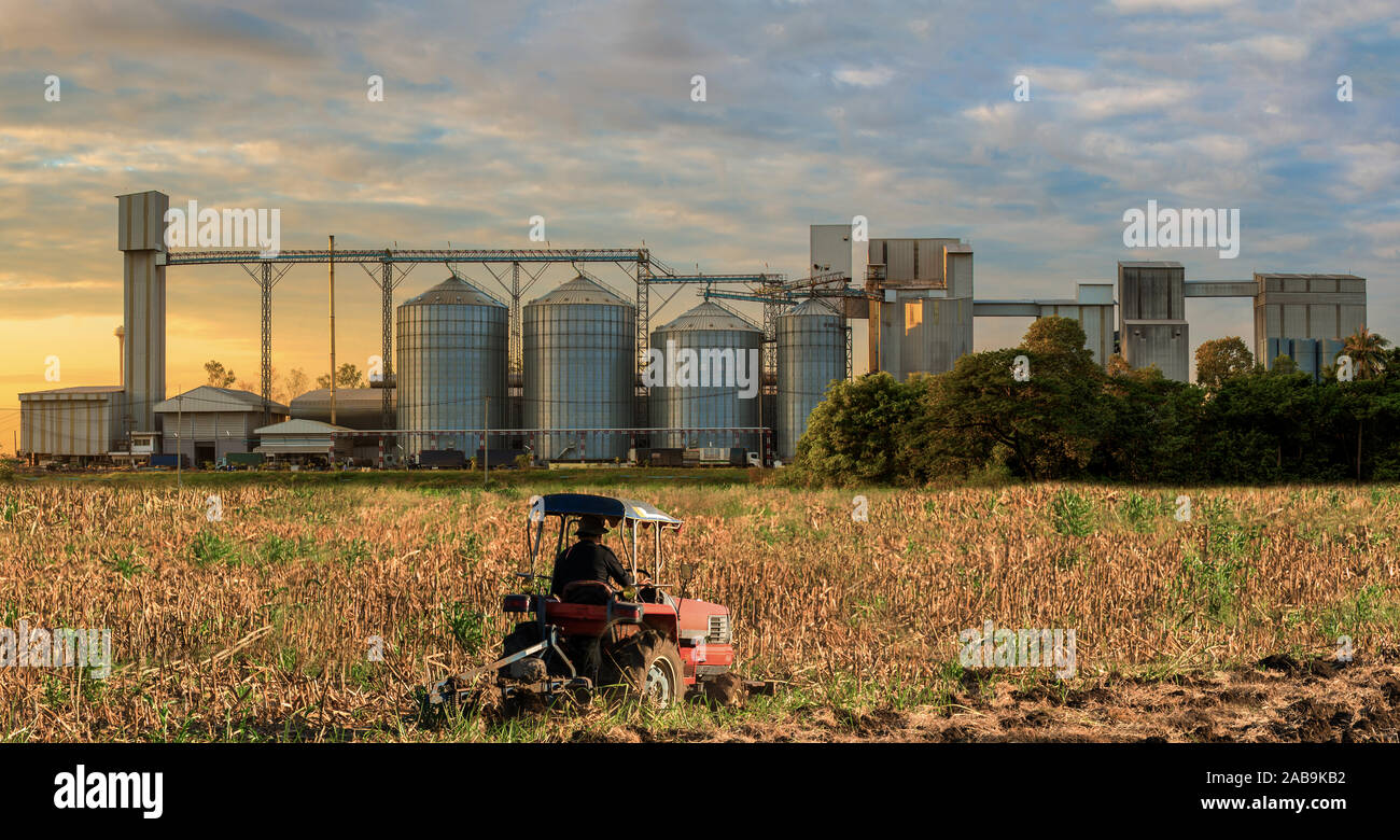Silos agricoli - Edificio Esterno, stoccaggio ed essiccazione di grani, frumento, mais, soia, girasole contro il cielo blu con i trattori agricoli in avanti Foto Stock