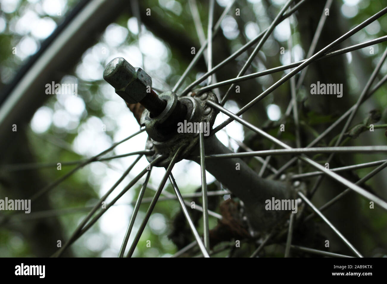 Ruota di bicicletta close up HD con una foresta come sfondo. Foto Stock