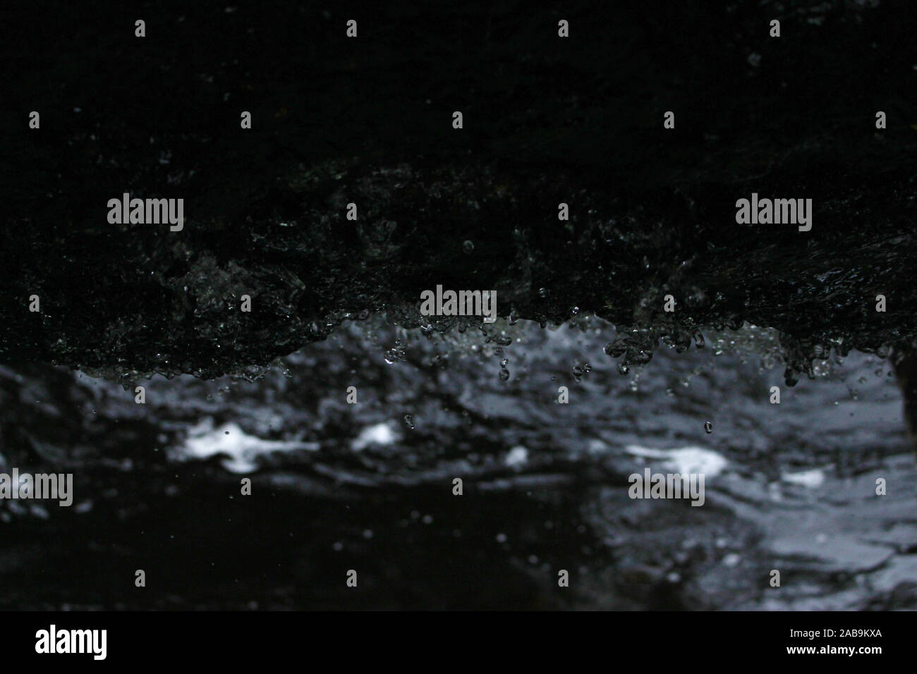Primo piano di gocce d'acqua Foto Stock