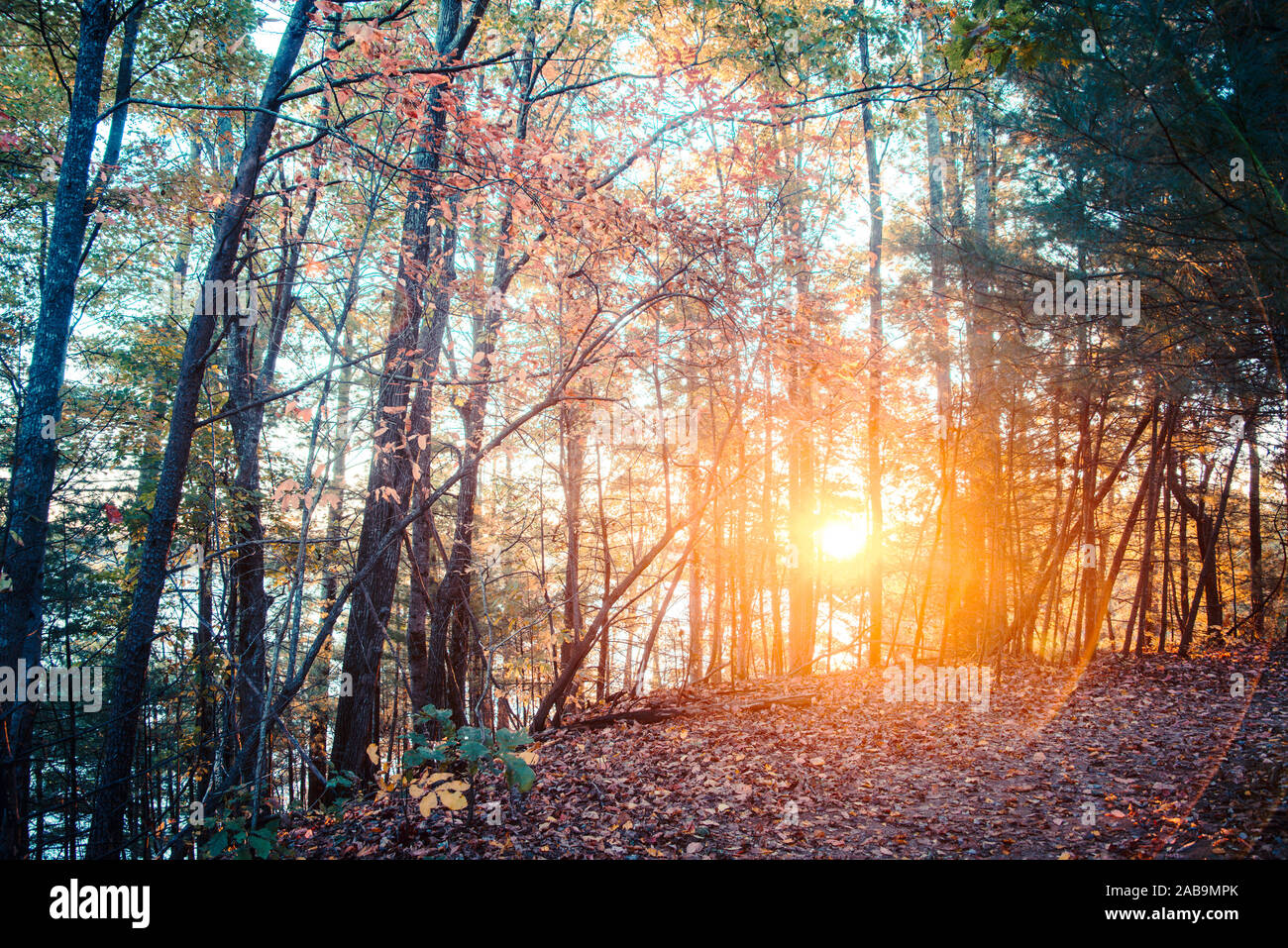 Caduta in North Carolina con Sunrise Foto Stock