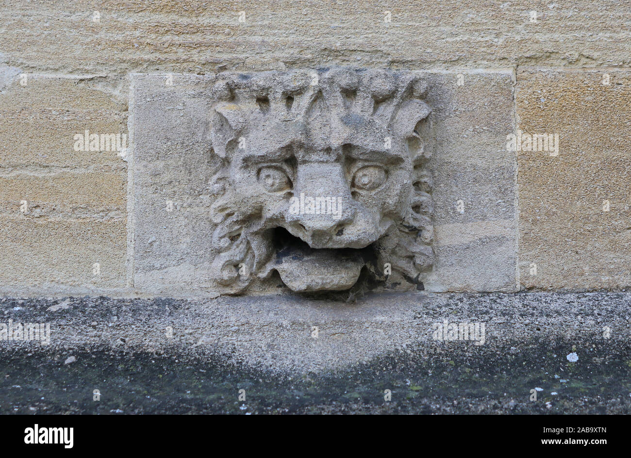 La pietra gargoyle di un leone sul muro di un college a Oxford parte dell'università in arenaria o calcare dalla regione Cotswold dell'Oxfordshire Foto Stock